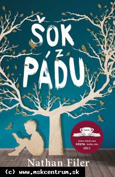 Nathan Filer - Šok z pádu