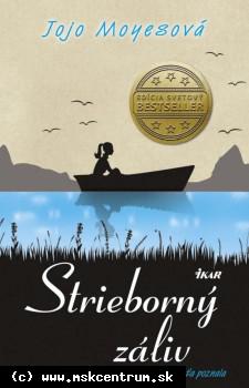 Jojo Moyesová - Strieborný záliv