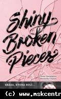 Sona Charaipotra Dhonielle Clayton - Shiny Broken Pieces